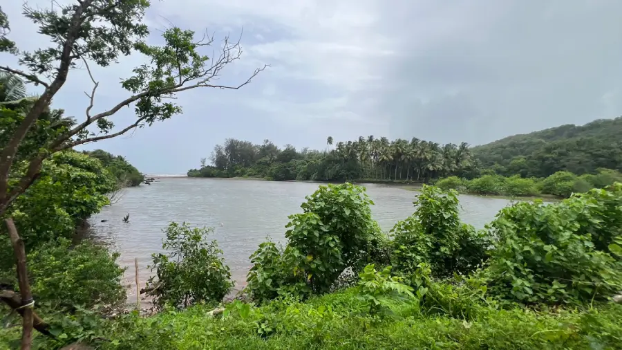 Boundary and layout of the 15 guntha NA wadi plot in Guhagar