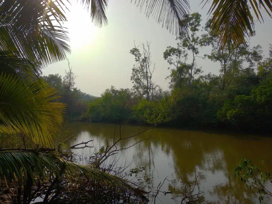 Water Source next to 15 guntha NA wadi plot in Guhagar